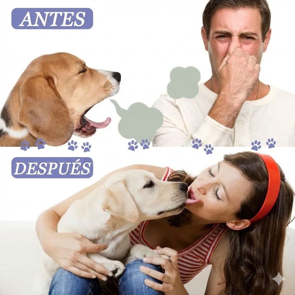 Spray Bucal Para Mascotas|Elimina el Mal Aliento y Protege su Salud 🐶🐱