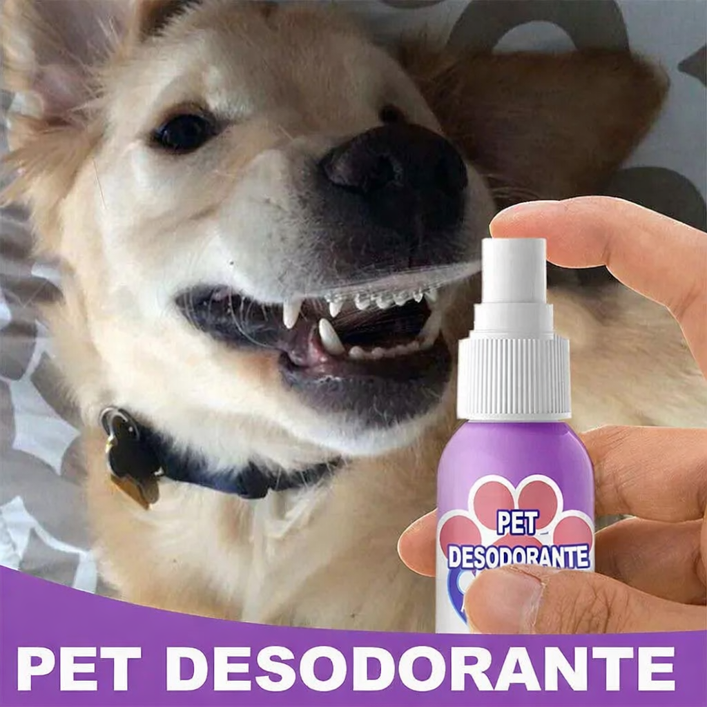 Spray Bucal Para Mascotas|Elimina el Mal Aliento y Protege su Salud 🐶🐱