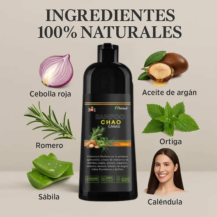 🧴Shampoo Cubre Canas 3 en 1 + Kit Capilar de Regalo 🎁✨