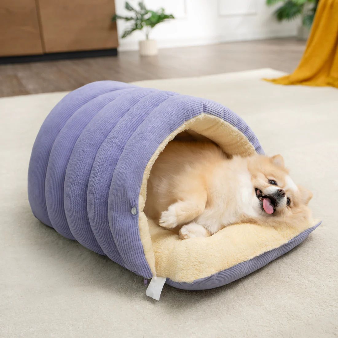 CUTY PET CAMA