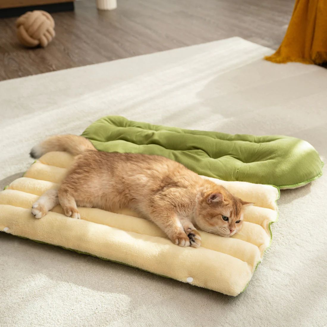 CUTY PET CAMA