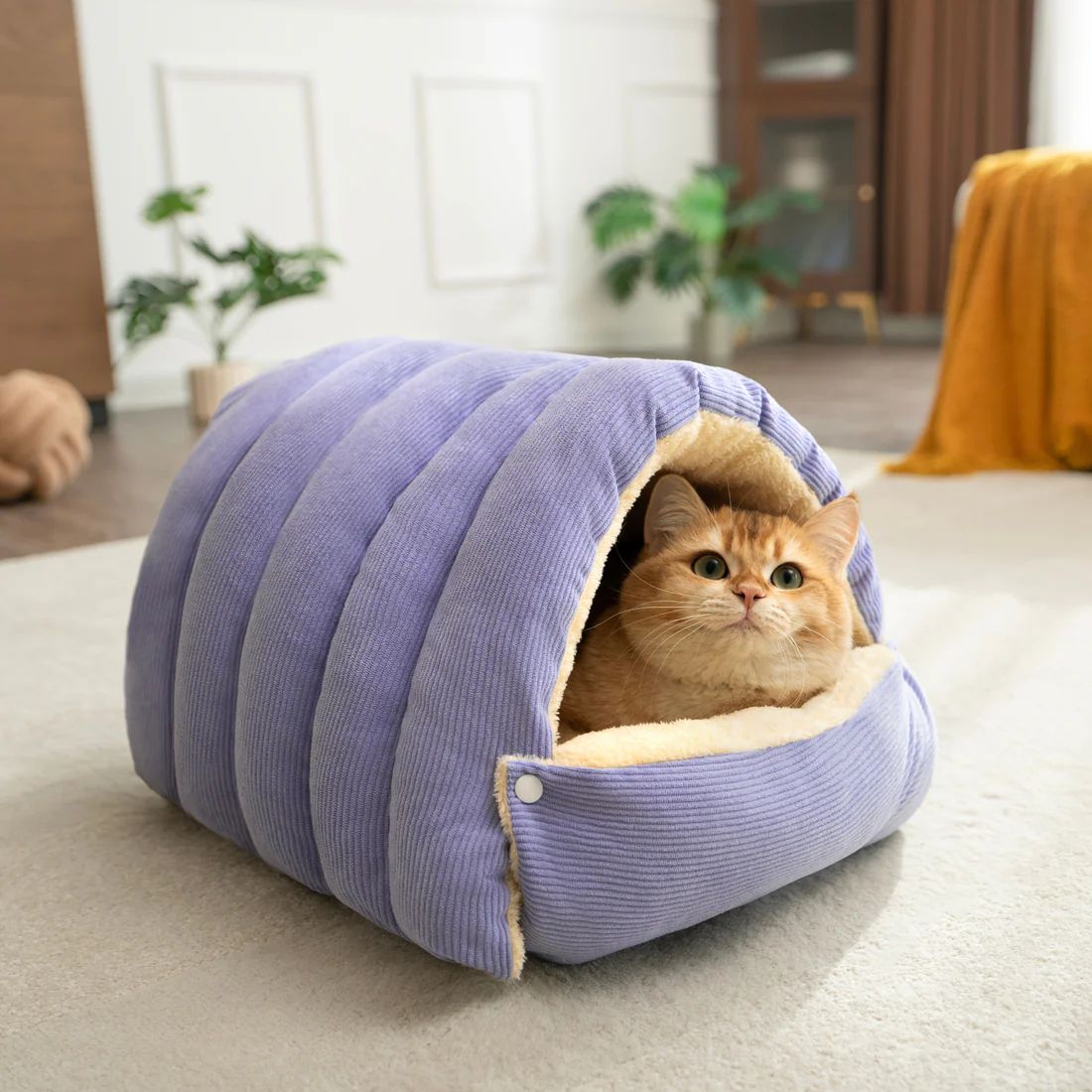 CUTY PET CAMA
