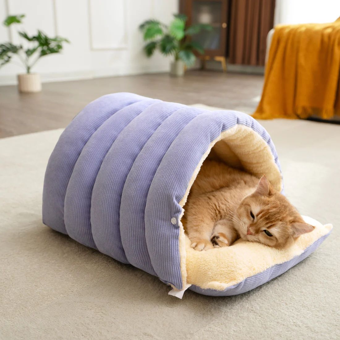 CUTY PET CAMA