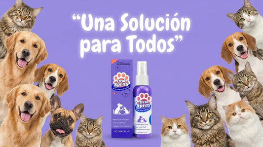 SPRAY DENTAL PARA MASCOTAS